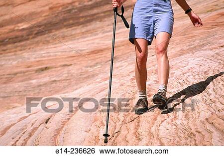 Hiking in Zion National Park. Utah. USA View Large Photo Image Stock Photograph - Hiking in Zion National Park. Utah. USA. Fotosearch