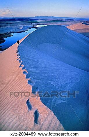 hiking the Bruneau Dunes during sunset at Bruneau Dunes State Park near the town of Bruneau in southern Idaho. View Large Photo Image Stock Photo - hiking the Bruneau Dunes during sunset at Bruneau Dunes State Park near the town of Bruneau in southern Idaho.. Fotosearch