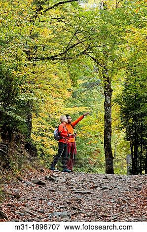 Stock Photo - Hiking trail in a forest, Ordesa national park, Pyrenees, Huesca, Aragon. Fotosearch