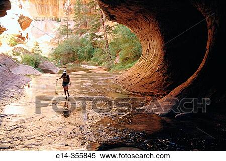 Hiking. West Fork Trail. In The Subway. Zion National Park. Utah. USA. View Large Photo Image Stock Photography - Hiking. West Fork Trail. In The Subway. Zion National Park. Utah. USA.. Fotosearch