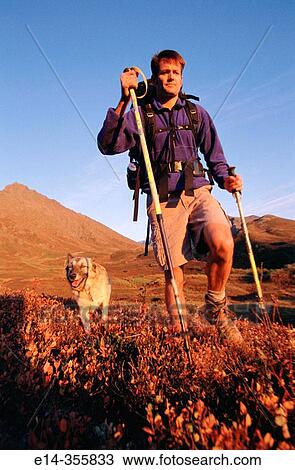 Hiking with dog. Autumn. Eagle River Valley, Chugach State Park. Alaska. USA. View Large Photo Image Stock Image - Hiking with dog. Autumn. Eagle River Valley, Chugach State Park. Alaska. USA.. Fotosearch