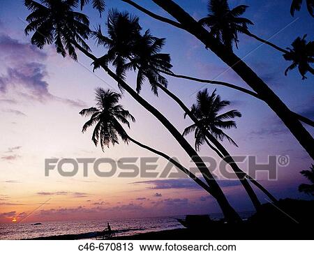 Hikkaduwa Beach, Sri Lanka View Large Photo Image Stock Image - Hikkaduwa Beach, Sri Lanka. Fotosearch