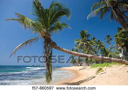Stock Photo - Hikkaduwa Beach, Sri Lanka. Fotosearch