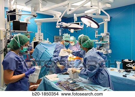 Hip replacement surgery, Orthopedics and Trauma surgery, Surgeon, Operating Theatre, Donostia Hospital, San Sebastian, Donostia, Gipuzkoa, Basque Country, Spain View Large Photo Image Picture - Hip replacement surgery, Orthopedics and Trauma surgery, Surgeon, Operating Theatre, Donostia Hospital, San Sebastian, Donostia, Gipuzkoa, Basque Country, Spain. Fotosearch