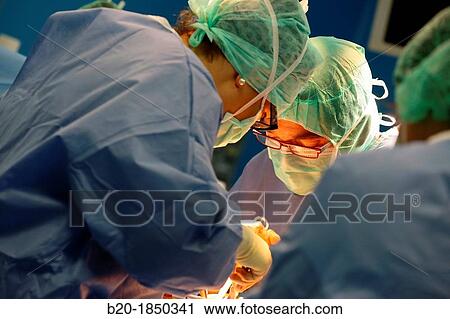 Hip replacement surgery, Orthopedics and Trauma surgery, Surgeon, Operating Theatre, Donostia Hospital, San Sebastian, Donostia, Gipuzkoa, Basque Country, Spain View Large Photo Image Stock Image - Hip replacement surgery, Orthopedics and Trauma surgery, Surgeon, Operating Theatre, Donostia Hospital, San Sebastian, Donostia, Gipuzkoa, Basque Country, Spain. Fotosearch