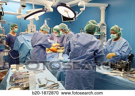 Hip replacement surgery, Orthopedics and Trauma surgery, Surgeon, Operating Theatre, Donostia Hospital, San Sebastian, Donostia, Gipuzkoa, Basque Country, Spain View Large Photo Image Stock Image - Hip replacement surgery, Orthopedics and Trauma surgery, Surgeon, Operating Theatre, Donostia Hospital, San Sebastian, Donostia, Gipuzkoa, Basque Country, Spain. Fotosearch