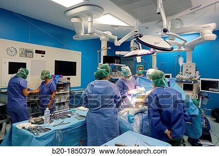 Hip replacement surgery, Orthopedics and Trauma surgery, Surgeon, Operating Theatre, Donostia Hospital, San Sebastian, Donostia, Gipuzkoa, Basque Country, Spain View Large Photo Image Stock Photo - Hip replacement surgery, Orthopedics and Trauma surgery, Surgeon, Operating Theatre, Donostia Hospital, San Sebastian, Donostia, Gipuzkoa, Basque Country, Spain. Fotosearch