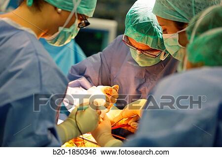 Hip replacement surgery, Orthopedics and Trauma surgery, Surgeon, Operating Theatre, Donostia Hospital, San Sebastian, Donostia, Gipuzkoa, Basque Country, Spain View Large Photo Image Stock Photograph - Hip replacement surgery, Orthopedics and Trauma surgery, Surgeon, Operating Theatre, Donostia Hospital, San Sebastian, Donostia, Gipuzkoa, Basque Country, Spain. Fotosearch
