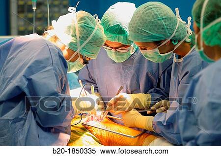 Stock Photography - Hip replacement surgery, Orthopedics and Trauma surgery, Surgeon, Operating Theatre, Donostia Hospital, San Sebastian, Donostia, Gipuzkoa, Basque Country, Spain. Fotosearch