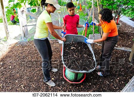 Hispanic community service volunteers of the Harlem Spanish Manhattan Seventh Day Adventist Church plant flowers and landscape an East Harlem neighborhood public garden, New York City, New York, Manhattan, USA. View Large Photo Image Picture - Hispanic community service volunteers of the Harlem Spanish Manhattan Seventh Day Adventist Church plant flowers and landscape an East Harlem neighborhood public garden, New York City, New York, Manhattan, USA.. Fotosearch