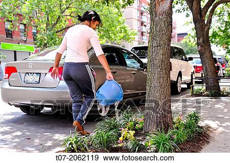 Hispanic community service volunteers of the Harlem Spanish Manhattan Seventh Day Adventist Church plant flowers and landscape an East Harlem neighborhood public sidewalk, New York City, New York, Manhattan, USA. View Large Photo Image Stock Photo - Hispanic community service volunteers of the Harlem Spanish Manhattan Seventh Day Adventist Church plant flowers and landscape an East Harlem neighborhood public sidewalk, New York City, New York, Manhattan, USA.. Fotosearch