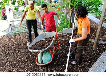 Hispanic community service volunteers of the Harlem Spanish Manhattan Seventh Day Adventist Church plant flowers and landscape an East Harlem neighborhood public garden, New York City, New York, Manhattan, USA. View Large Photo Image Stock Photography - Hispanic community service volunteers of the Harlem Spanish Manhattan Seventh Day Adventist Church plant flowers and landscape an East Harlem neighborhood public garden, New York City, New York, Manhattan, USA.. Fotosearch