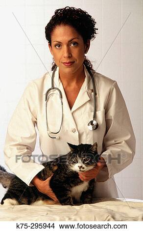 Hispanic vet with cat View Large Photo Image Picture - Hispanic vet with cat. Fotosearch