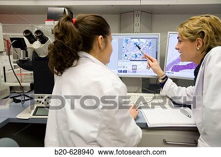 Stock Image - Histological cuts, confocal microscope, biopharmaceutical lab, development and production of innovative drugs using adult stem cells, Cellerix, Grupo Genetrix, Madrid. Fotosearch