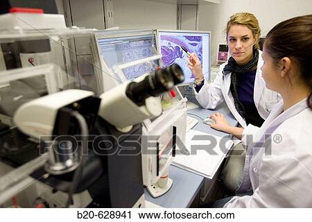 Stock Image - Histological cuts, confocal microscope, biopharmaceutical lab, development and production of innovative drugs using adult stem cells, Cellerix, Grupo Genetrix, Madrid. Fotosearch