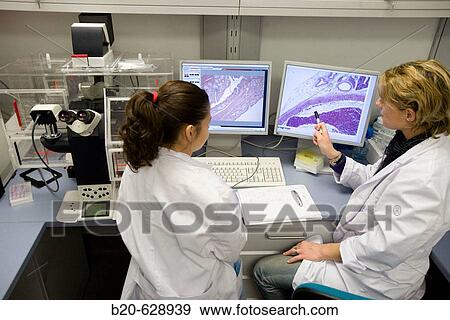 Histological cuts, confocal microscope, biopharmaceutical lab, development and production of innovative drugs using adult stem cells, Cellerix, Grupo Genetrix, Madrid View Large Photo Image Stock Photo - Histological cuts, confocal microscope, biopharmaceutical lab, development and production of innovative drugs using adult stem cells, Cellerix, Grupo Genetrix, Madrid. Fotosearch