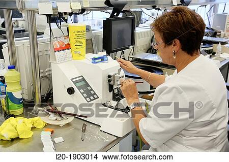 Histology, Microtome, Anatomic Pathology, Onkologikoa Hospital, Oncology Institute, Case Center for prevention, diagnosis and treatment of cancer, Donostia, San Sebastian, Gipuzkoa, Basque Country, Spain View Large Photo Image Picture - Histology, Microtome, Anatomic Pathology, Onkologikoa Hospital, Oncology Institute, Case Center for prevention, diagnosis and treatment of cancer, Donostia, San Sebastian, Gipuzkoa, Basque Country, Spain. Fotosearch