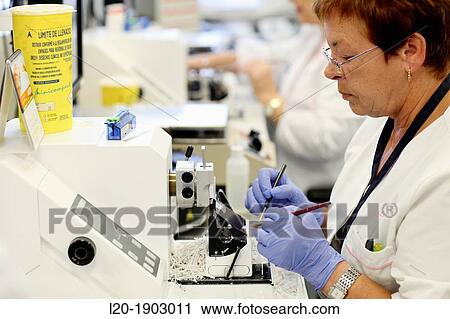 Histology, Microtome, Anatomic Pathology, Onkologikoa Hospital, Oncology Institute, Case Center for prevention, diagnosis and treatment of cancer, Donostia, San Sebastian, Gipuzkoa, Basque Country, Spain View Large Photo Image Stock Image - Histology, Microtome, Anatomic Pathology, Onkologikoa Hospital, Oncology Institute, Case Center for prevention, diagnosis and treatment of cancer, Donostia, San Sebastian, Gipuzkoa, Basque Country, Spain. Fotosearch