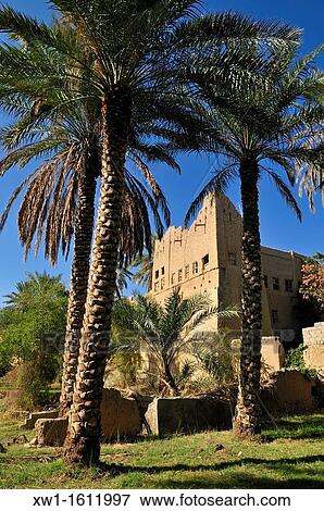 Stock Photo - historic adobe city Al Hamra, Dakhliyah Region, Sultanate of Oman, Arabia, Middle East. Fotosearch