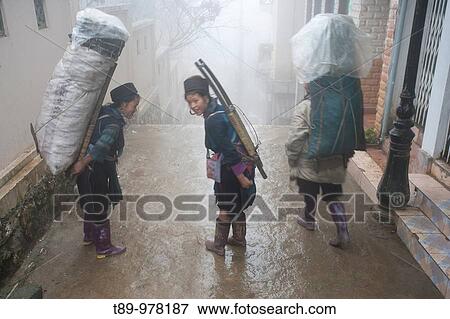 Hmong woman caring heavy loads to the market, Sa Pa, Vietnam View Large Photo Image Stock Photo - Hmong woman caring heavy loads to the market, Sa Pa, Vietnam. Fotosearch