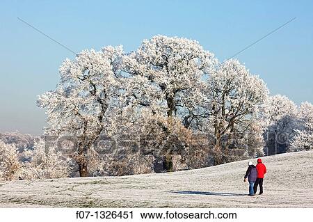 Hoarfrost - Warwickshire - England. View Large Photo Image Stock Image - Hoarfrost - Warwickshire - England.. Fotosearch