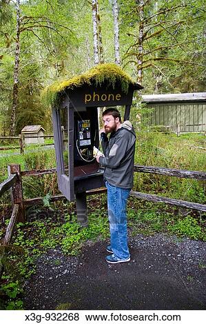 Stock Photo - Hoh Rainforest, Washington, USA. Fotosearch