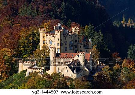 Hohenschwangau castle in with autumn colors on trees, Schwangau, Bavaria, Germany View Large Photo Image Stock Photo - Hohenschwangau castle in with autumn colors on trees, Schwangau, Bavaria, Germany. Fotosearch