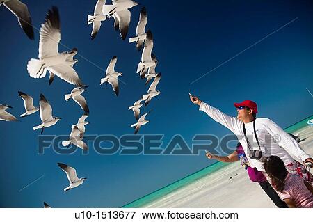 Holbox island, Mexico View Large Photo Image Stock Photo - Holbox island, Mexico. Fotosearch