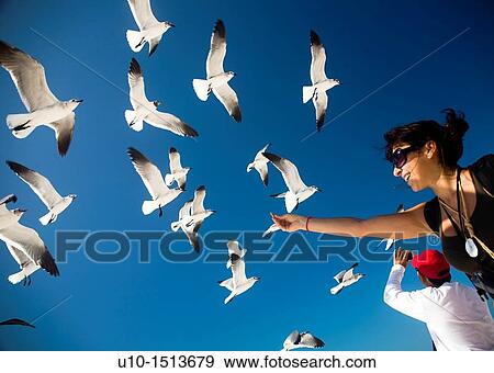 Holbox island, Mexico View Large Photo Image Stock Photo - Holbox island, Mexico. Fotosearch