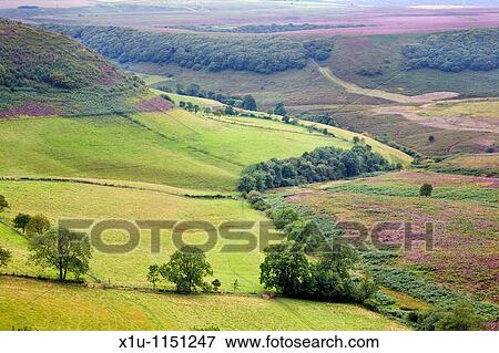 Hole of Horcum North York Moors Yorkshire England View Large Photo Image Stock Photo - Hole of Horcum North York Moors Yorkshire England. Fotosearch