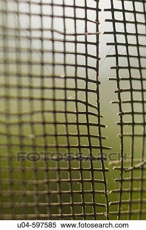 Hole torn in window screen View Large Photo Image Stock Photography - Hole torn in window screen. Fotosearch