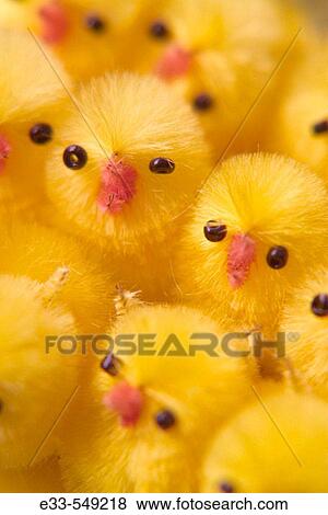 Holiday decorations - Easter baby chicks View Large Photo Image Stock Photo - Holiday decorations - Easter baby chicks. Fotosearch
