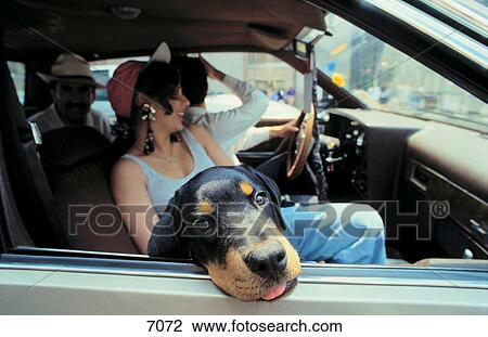 Holiday View Large Photo Image Stock Image - Holiday. Fotosearch