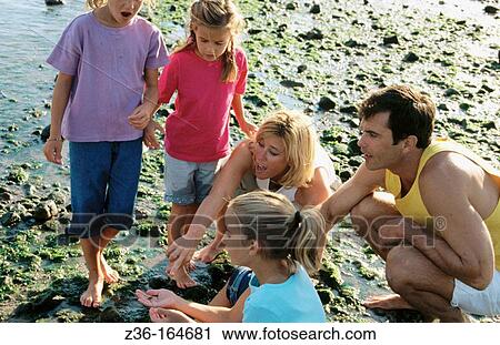 Holiday View Large Photo Image Stock Image - Holiday. Fotosearch