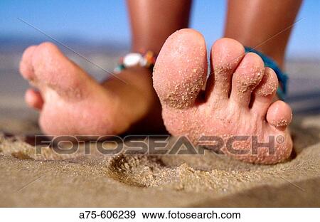 Holiday View Large Photo Image Stock Photo - Holiday. Fotosearch