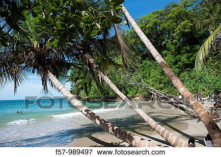 Holiday View Large Photo Image Stock Photo - Holiday. Fotosearch