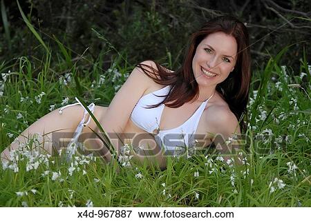 Stock Photo - Holiday. Fotosearch