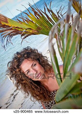 Stock Photography - Holiday. Fotosearch