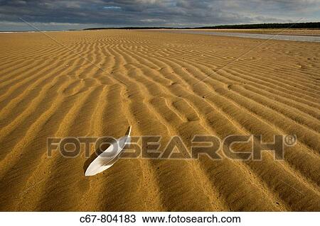 Holkham Beach National Nature Reserve Norfolk October View Large Photo Image Stock Image - Holkham Beach National Nature Reserve Norfolk October. Fotosearch
