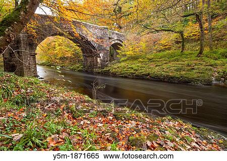 Holne Bridge over the River Dart in Dartmoor National Park, Devon, England, UK, Europe View Large Photo Image Stock Photography - Holne Bridge over the River Dart in Dartmoor National Park, Devon, England, UK, Europe. Fotosearch