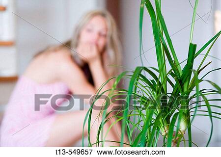 Stock Photo - Home plant and a girl in background sitting. Fotosearch
