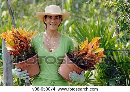 Homestead, Miami, Florida, USA View Large Photo Image Picture - Homestead, Miami, Florida, USA. Fotosearch