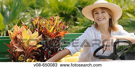 Stock Image - Homestead, Miami, Florida, USA. Fotosearch