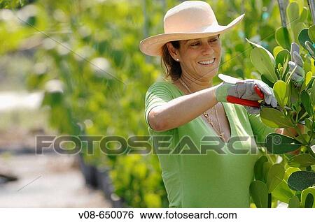 Stock Photograph - Homestead, Miami, Florida, USA. Fotosearch