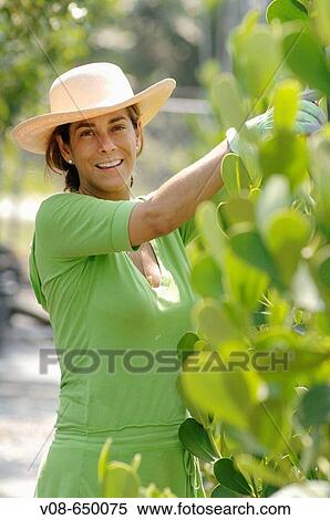Stock Photography - Homestead, Miami, Florida, USA. Fotosearch