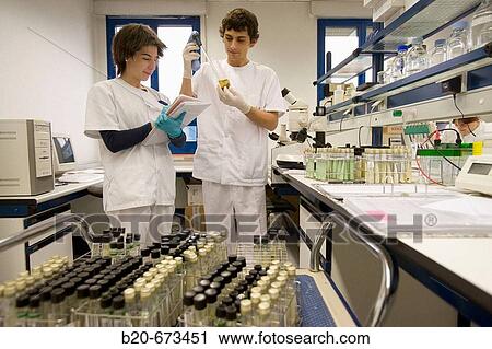 Homogenized sample for bacteria cultivation, Laboratory of Bacteriology, Departamento de Producci? n y Sanidad Animal, Neiker Tecnalia, Instituto de Investigaci? n y Desarrollo Agrario, Ganadero, Forestal y del Medio Natural, Derio, Bizkaia, Euskadi, Spain View Large Photo Image Stock Image - Homogenized sample for bacteria cultivation, Laboratory of Bacteriology, Departamento de Producci? n y Sanidad Animal, Neiker Tecnalia, Instituto de Investigaci? n y Desarrollo Agrario, Ganadero, Forestal y del Medio Natural, Derio, Bizkaia, Euskadi, Spain. Fotosearch