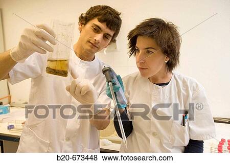 Stock Photo - Homogenized sample for bacteria cultivation, Laboratory of Bacteriology, Departamento de Producci? n y Sanidad Animal, Neiker Tecnalia, Instituto de Investigaci? n y Desarrollo Agrario, Ganadero, Forestal y del Medio Natural, Derio, Bizkaia, Euskadi, Spain. Fotosearch