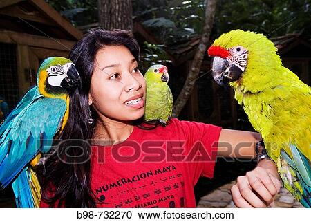 Stock Image - Honduras, Copan Ruinas, Macaw Mountain Bird Park. Fotosearch