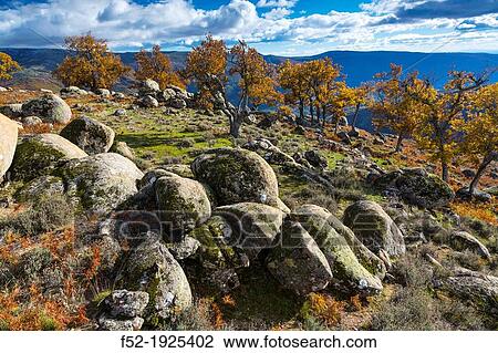 Honduras pass, Ambroz valley, Caceres, Extremadura, Spain, Europe View Large Photo Image Stock Image - Honduras pass, Ambroz valley, Caceres, Extremadura, Spain, Europe. Fotosearch