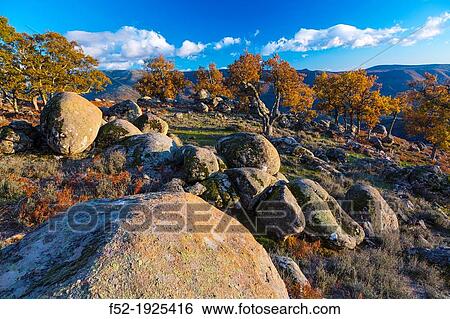 Honduras pass, Ambroz valley, Caceres, Extremadura, Spain, Europe View Large Photo Image Stock Photograph - Honduras pass, Ambroz valley, Caceres, Extremadura, Spain, Europe. Fotosearch